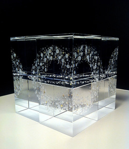 Nancy Sutcliffe “Same DNA as stardust”, 2014 Nancy Sutcliffe “Same DNA as stardust”, 2014