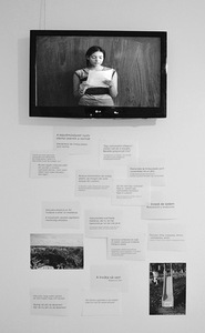 Nita Mocanu (Nicoleta Stoica). Diary of Education and other things, 2015, Romania