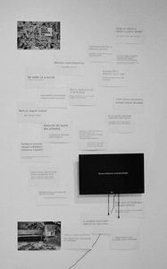 Nita Mocanu (Nicoleta Stoica). „Dienoraštis apie edukaciją ir kitus dalykus“, 2015, Rumunija