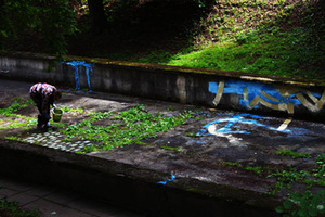 Photo by Oskaras Armonas