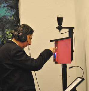 Mantas Kuginis. "Porn Nesting-box"