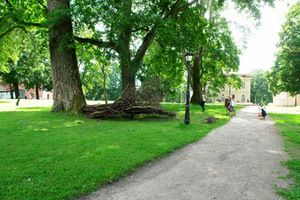 William Cardot ir Nelly Pascal iš Prancūzijos darbas ir jį smalsiai apžiūrinėjantys Raudondvario dvaro sodybos lankytojai William Cardot ir Nelly Pascal iš Prancūzijos darbas ir jį smalsiai apžiūrinėjantys Raudondvario dvaro sodybos lankytojai