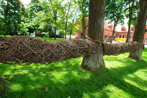 Aušros Kažemėkaitės ir Jurgio Ramanausko kurti vijokliai susivijo apie kelių greta augusių medžių kamienus Aušros Kažemėkaitės ir Jurgio Ramanausko kurti vijokliai susivijo apie kelių greta augusių medžių kamienus