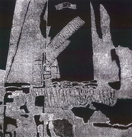 R. Malecko darbas iš serijos „Fotografikos abstrakcijos“ . 2010–2015