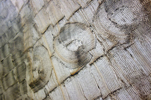 Ryto Jurgelio tapybos ciklas „Balta upė“ Ryto Jurgelio tapybos ciklas „Balta upė“