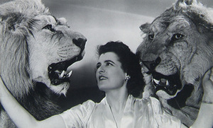 Kadras iš filmo „Viskas dėl šou“