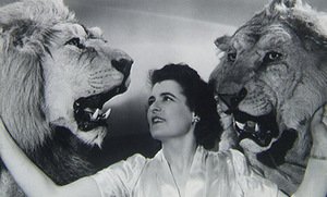 Kadras iš filmo „Viskas dėl šou“ Kadras iš filmo „Viskas dėl šou“