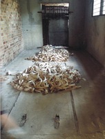 SINCHRONIZACIJA, 2003, performansas