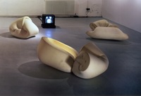 SUSIKURTI IR APLEISTI NAMUS, 2001, video ir instaliacija, porolonas.