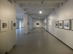 Remigijus Treigys exhibition fragment