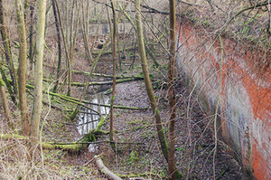 It is hard to understand the whole of fortifications at the 5th fort because of the abundant vegetation. A. Blinstrubaitė-Vasiliauskienė photo It is hard to understand the whole of fortifications at the 5th fort because of the abundant vegetation. A. Blinstrubaitė-Vasiliauskienė photo