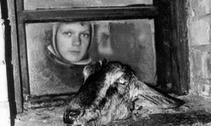 R.Vikšraitis. "Vienkiemio godos". 2002. Nuotr. iš guardian.co.uk R.Vikšraitis. "Vienkiemio godos". 2002. Nuotr. iš guardian.co.uk