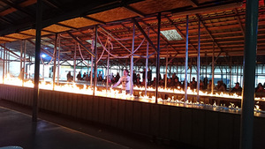 „Maisto teatro“ spektaklis „Viskas įskaičiuota“. M. Munderzbakaitės nuotr. „Maisto teatro“ spektaklis „Viskas įskaičiuota“. M. Munderzbakaitės nuotr.