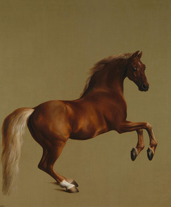 G. Stubbs. „Whistlejacket“, 1762 m., Nacionalinė galerija, Londonas, Didžioji Britanija G. Stubbs. „Whistlejacket“, 1762 m., Nacionalinė galerija, Londonas, Didžioji Britanija