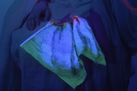 XXL, fragmentas, 2006, 200 × 120 ir 85 × 40, fotografija, plastikas, siūlai, švytintys tamsoje, siuvinėjimas.