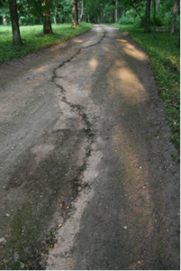 Židrija Janušaitė, „Kelias“.