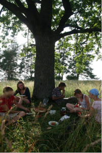 Pietūs po ąžuolu. Pietūs po ąžuolu.